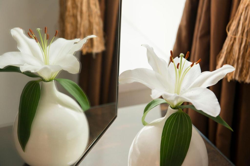The Grange Bed & Breakfast เซนต์ออสเทลล์ ภายนอก รูปภาพ